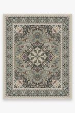 Load image into Gallery viewer, Hendesi Heriz Sage Rug