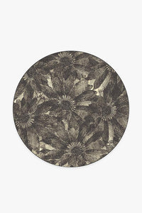 Aprilios Charcoal Rug