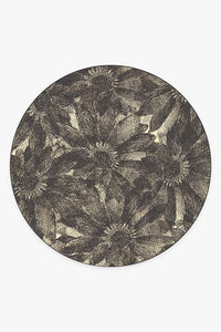 Aprilios Charcoal Rug