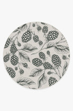 Load image into Gallery viewer, Berry Sage Rug
