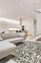 Load image into Gallery viewer, Delphina Black &amp; White Rug
