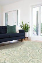 Load image into Gallery viewer, Fruit Punch Lime Rug
