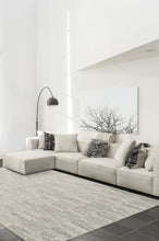 Load image into Gallery viewer, Granite Ombre Light Grey Rug
