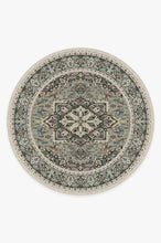 Load image into Gallery viewer, Hendesi Heriz Sage Rug
